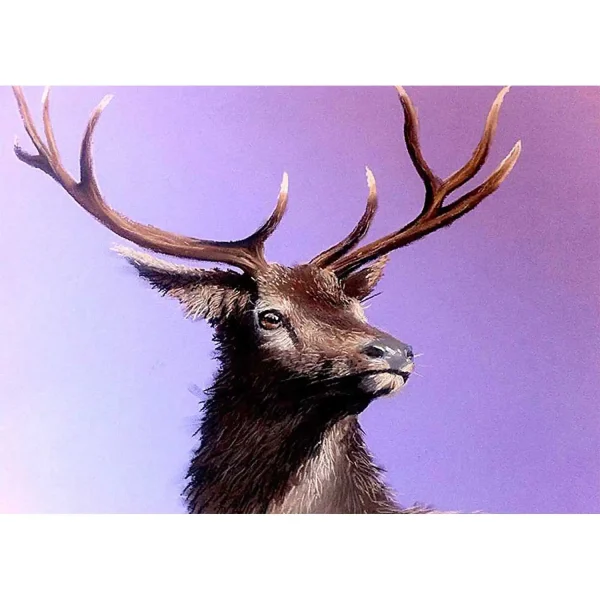 Red Stag on Lilac, Greeting Card by Ann Vastano - Image 2