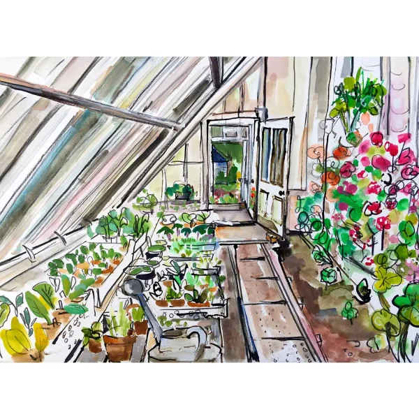 Seedlings, Greeting Card by Clare Arbuthnott - Image 2