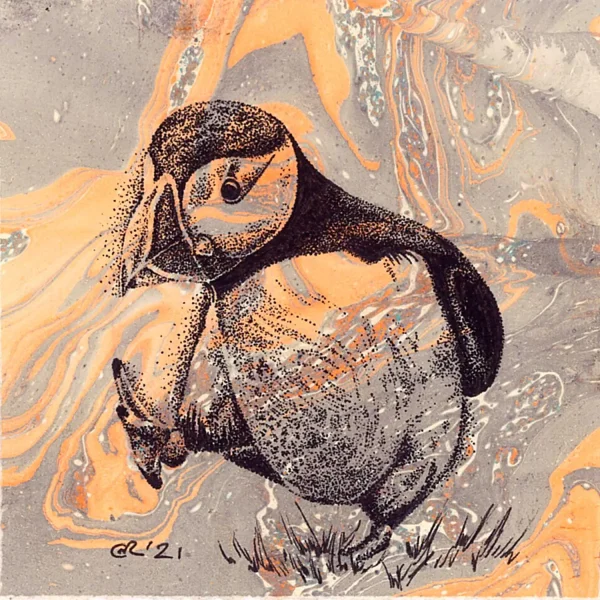 Puffin, Greeting Card by Estelle Richardson - Image 2