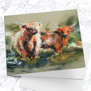 Two Highland Heifers, Greeting Card by Hilary Barker
