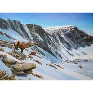 Winter Stag, Giclée Art Print by Chris Sharp