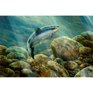 Too Fly for this One, Giclée Art Print by Chris Sharp