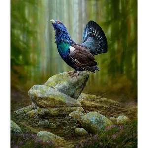 Capercaillie (Holding Court), Giclée Art Print by Chris Sharp