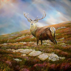 On Alert, Giclée Art Print by Chris Sharp