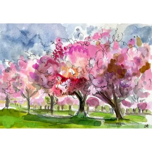 Cherry Blossom, Meadows Walk, Giclée Art Print by Clare Arbuthnott