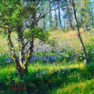 Bluebells on the Birks, Giclée Art Print by Colin Robertson