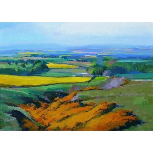 Spring Yellows, Giclée Art Print by Colin Robertson