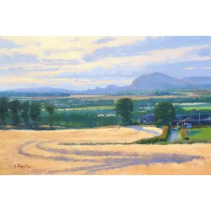 Fields of Quiet, Edinburgh, Giclée Art Print by Colin Robertson