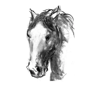 Soul in Shadow, Giclée Art Print by Diana Hand