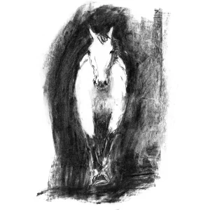Unstoppable Approach, Giclée Art Print by Diana Hand