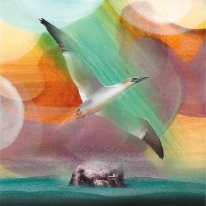 Canty Bay Bass, Giclée Art Print by Esther Cohen