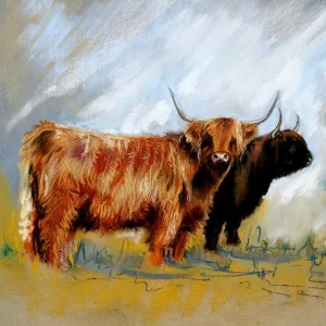 Two Highland Cows, Giclée Art Print by Hilary Barker