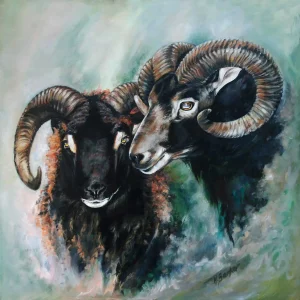 Soay Rams, Giclée Art Print by Hilary Barker