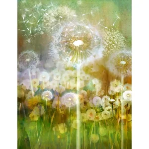 Dandelion, Giclée Art Print by Lee Scammacca