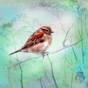 Lone Sparrow, Giclée Art Print by Lee Scammacca