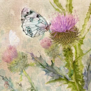 Soft Landing, Giclée Art Print by Lee Scammacca