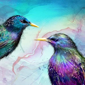 Starlings, Giclée Art Print by Lee Scammacca
