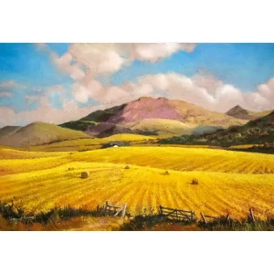 Golden Fields, Craig Rossie, Giclée Art Print by Margaret Evans