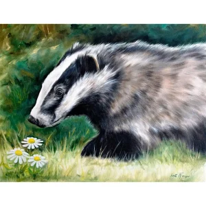 Badger, Giclée Art Print by Scott McGregor