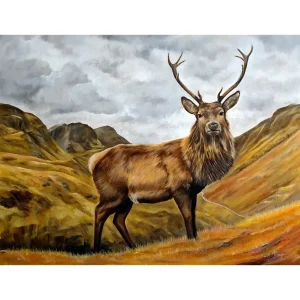 Glencoe Stag, Giclée Art Print by Scott McGregor