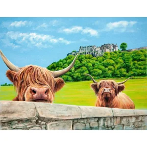 Heilan Coos at Stirling Castle, Giclée Art Print by Scott McGregor