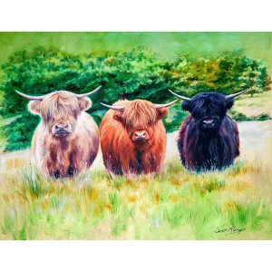 Highland Toffee, Giclée Art Print by Scott McGregor