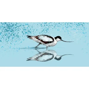 Avocet, Giclée Art Print by Stuart Roy