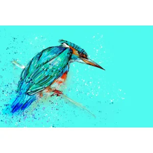 Kingfisher, Giclée Art Print by Stuart Roy