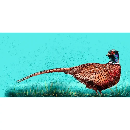 Pheasant, Giclée Art Print by Stuart Roy