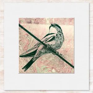 Swallow, Small Mounted Print by Estelle Richardson
