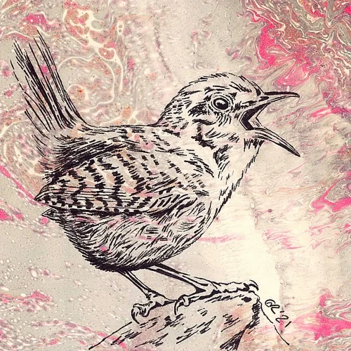 Thrush, Small Mounted Print by Estelle Richardson - Image 2