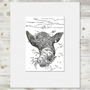 Seal Hello, Small Mounted Print by Estelle Richardson