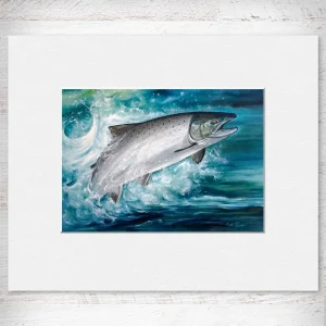 Salmon, Small Mounted Print by Scott McGregor
