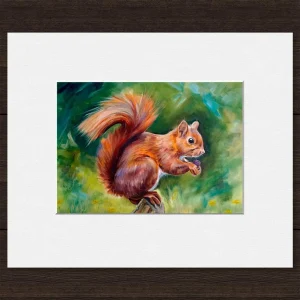 Squirrel, Small Mounted Print by Scott McGregor