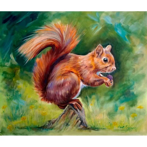 Squirrel, Small Mounted Print by Scott McGregor - Image 2