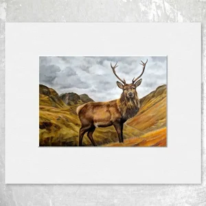 Glencoe Stag, Small Mounted Print by Scott McGregor
