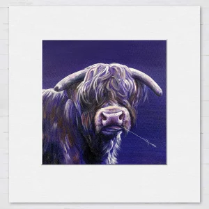 Angus, Small Mounted Print by Scott McGregor