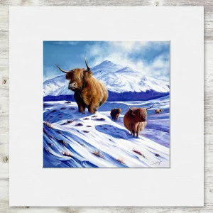 Coos in the Snow, Small Mounted Print by Scott McGregor
