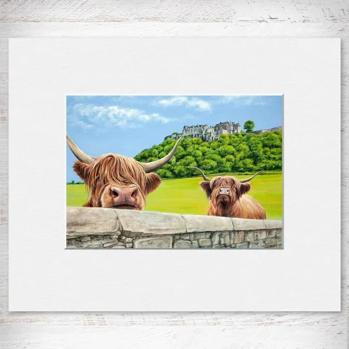 Heilan Coos at Stirling Castle, Small Mounted Print by Scott McGregor