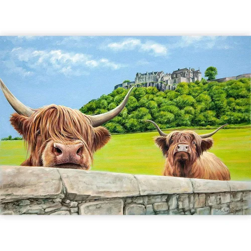 Heilan Coos at Stirling Castle, Small Mounted Print by Scott McGregor - Image 2