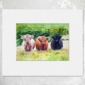 Highland Toffee, Small Mounted Print by Scott McGregor