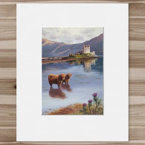 Coos at Eilean Donan, Small Mounted Print by Scott McGregor