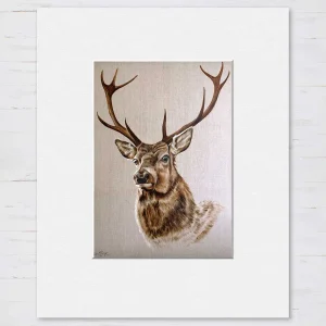 Pride, Small Mounted Print by Scott McGregor