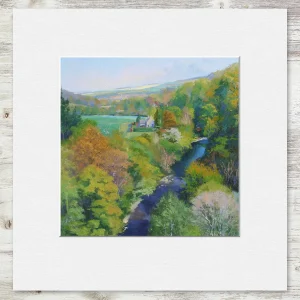 Sunlight on the Trees, Small Mounted Print by Colin Robertson