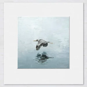 Heron over still waters, Small Mounted Print by Charlotte Strawbridge