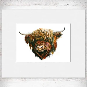 Highland Bull, Small Mounted Print by Hilary Barker