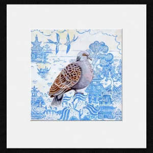 Willow Dove, Small Mounted Print by Ingrid Nilsson