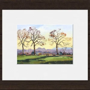 Botanic Gardens Vista, Small Mounted Print by Joseph Maxwell-Stuart