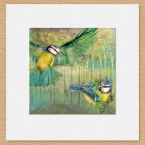 Blue Tits, Small Mounted Print by Lee Scammacca