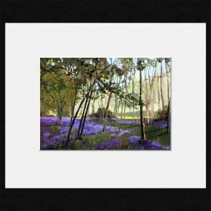 Bluebell Woods, Small Mounted Print by Margaret Evans